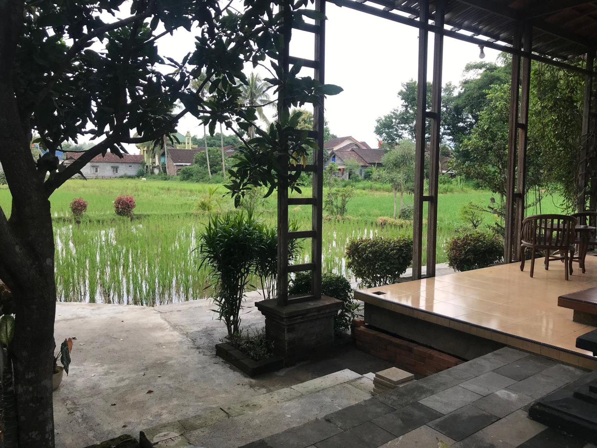 Lotus 2 Guest House Magelang Exterior foto